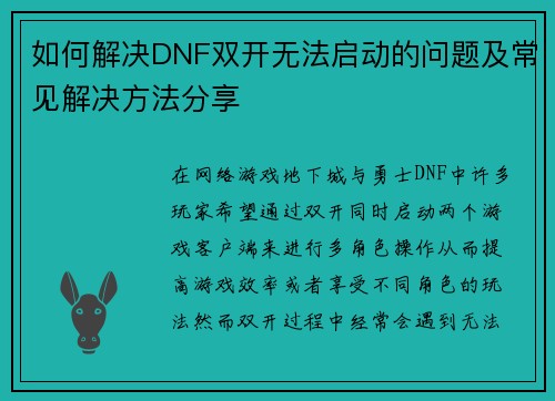 如何解决DNF双开无法启动的问题及常见解决方法分享